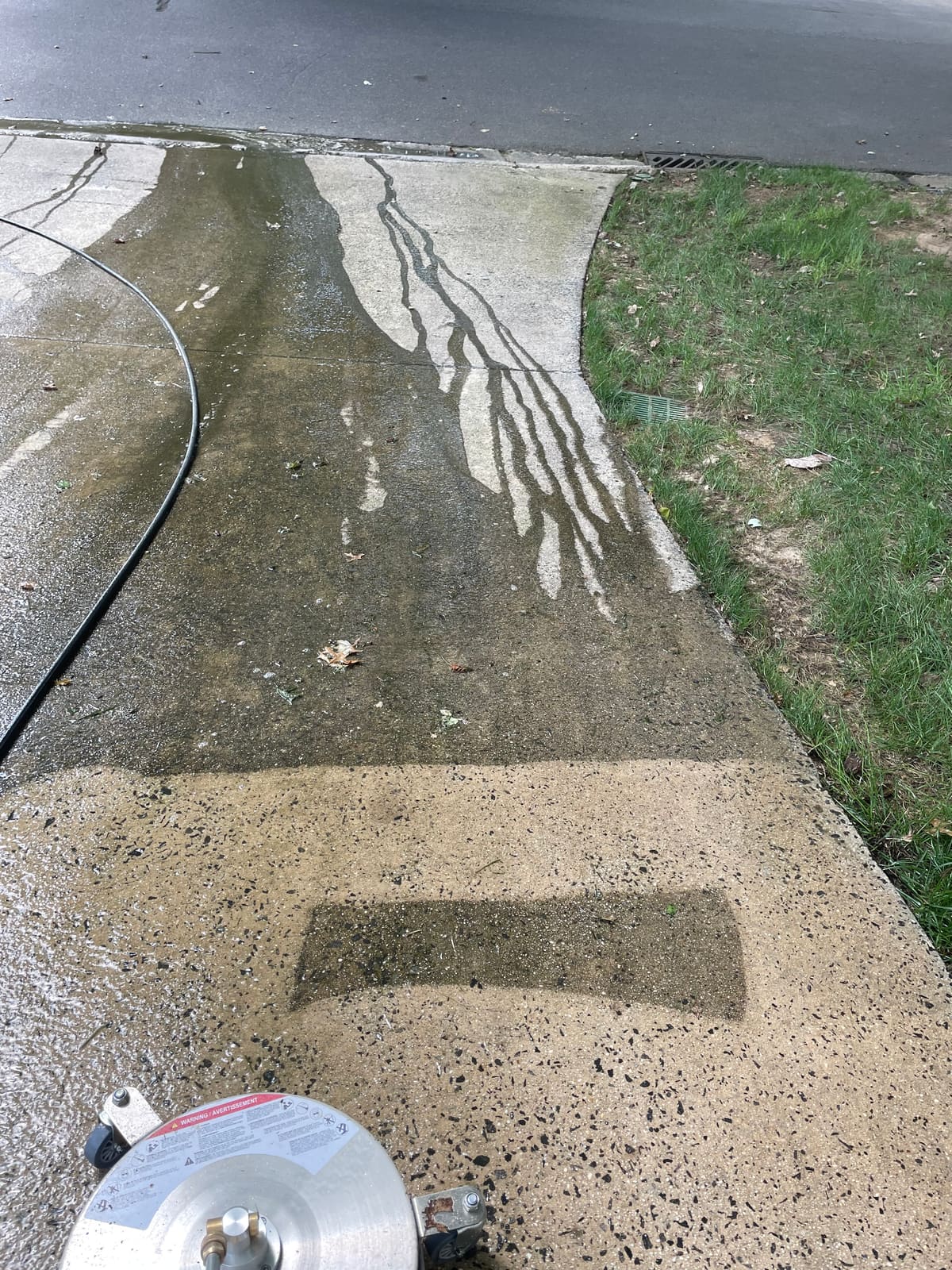 Driveway concrete mildew streaks removed